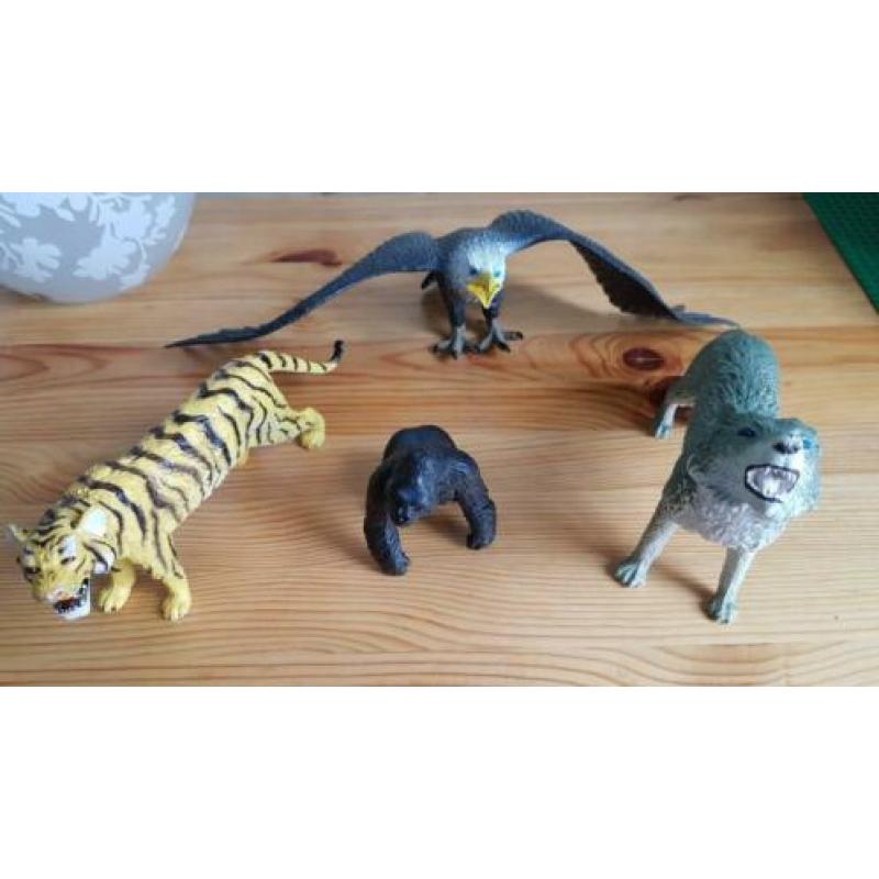 4 grote dieren, leeuwin, orang oetang, roofvogel, wilde hond