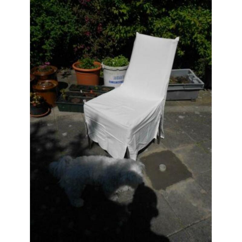 Wit leren stoelen