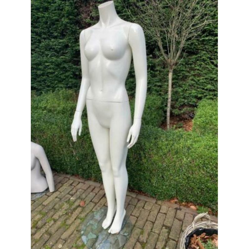 PASPOP wit op glazen voet -diverse modellen-