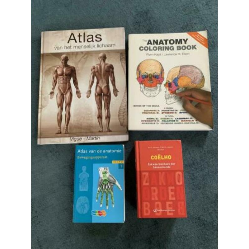 Diverse medische (anatomie) studieboeken . Setprijs