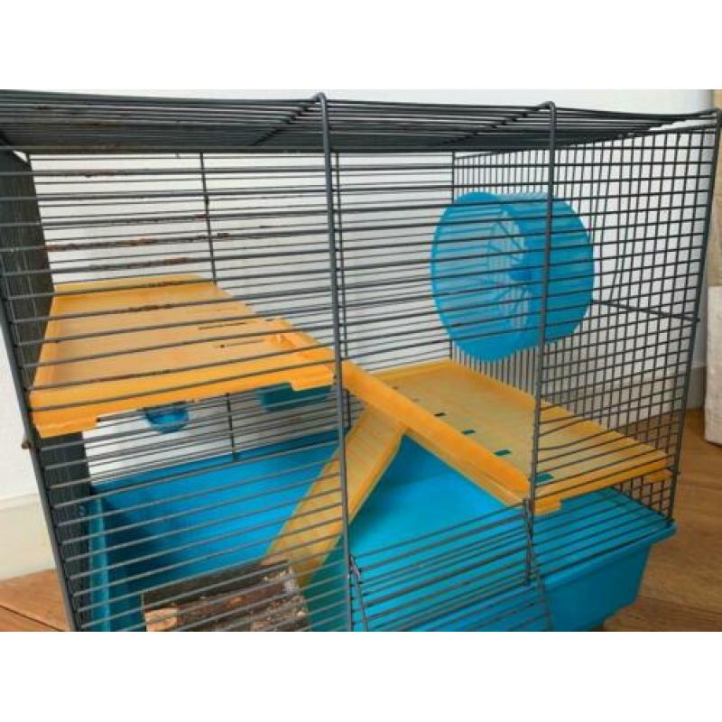 hamsterkooi montagna
