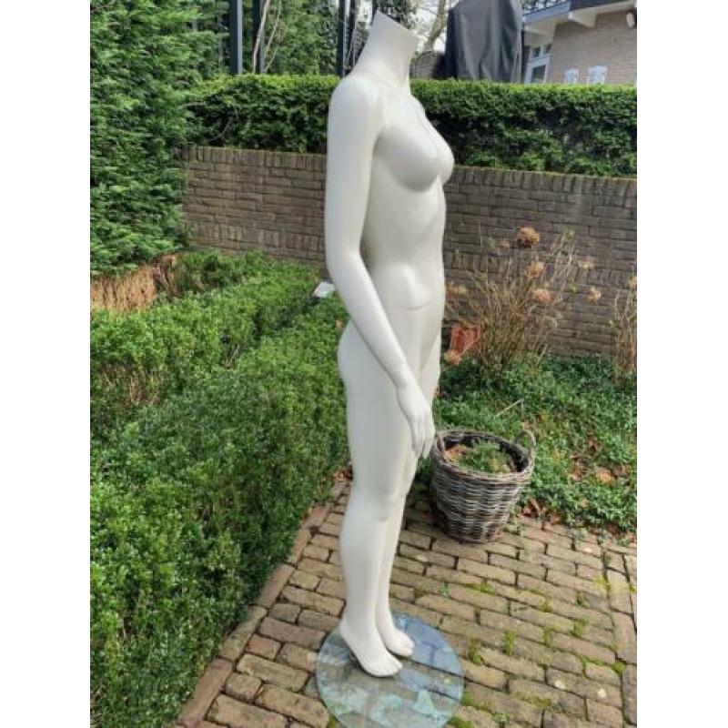 PASPOP wit op glazen voet -diverse modellen-