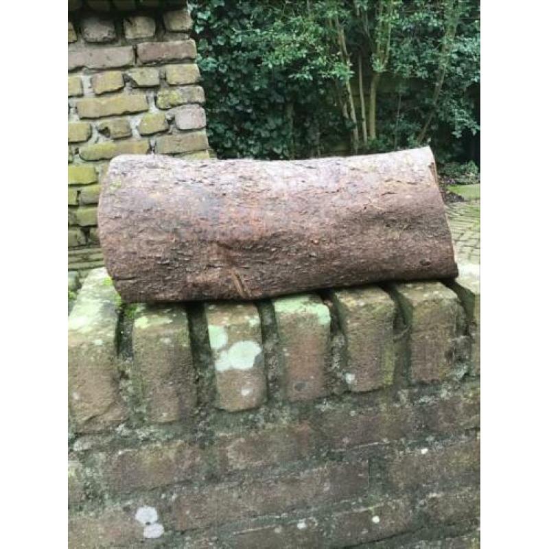 Stuk prunus 40+ jaar. Droog&dicht, zie foto’s