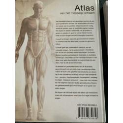 Diverse medische (anatomie) studieboeken . Setprijs