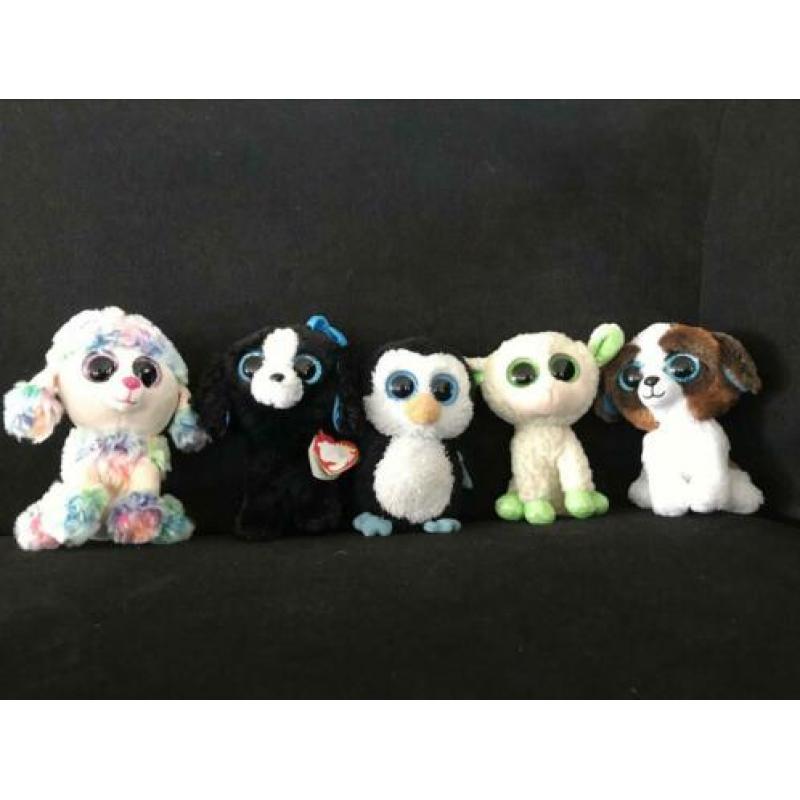 Ty knuffels