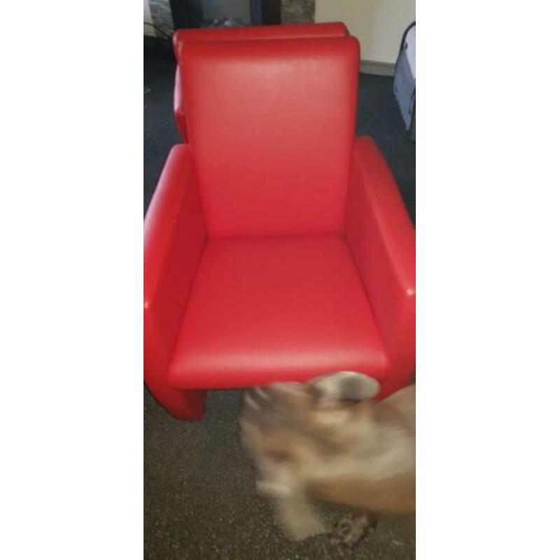 Mooie echt lere stoelen