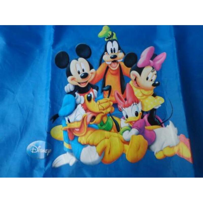 2 Disney Knutselschorten