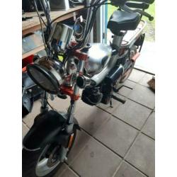 Te koop deze tomos youngster met kenteken.