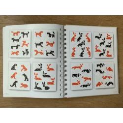 Boek Tangram, puzzel met stenen