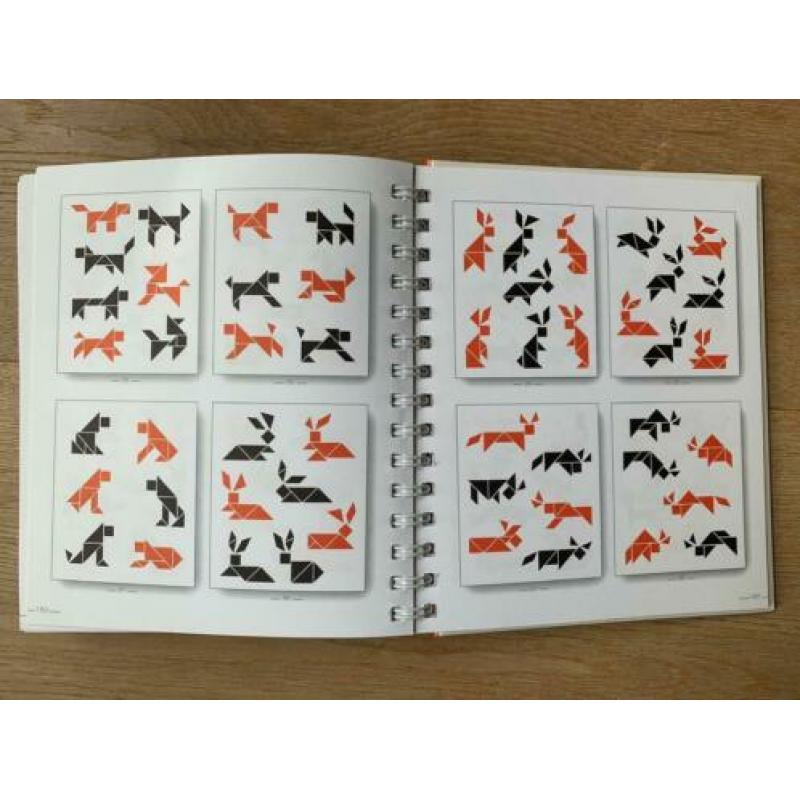 Boek Tangram, puzzel met stenen