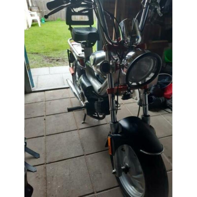 Te koop deze tomos youngster met kenteken.