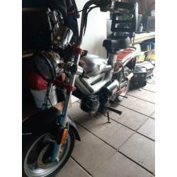 Te koop deze tomos youngster met kenteken.