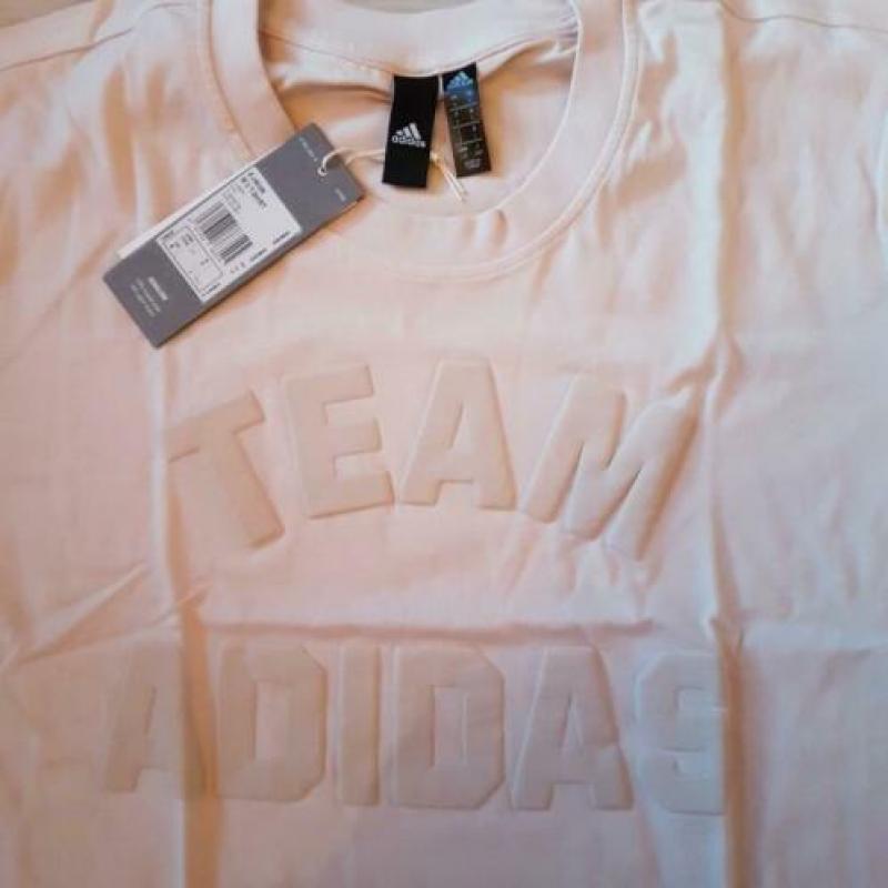 Team Adidas shirt beige maat L nieuw