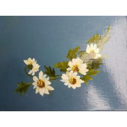 Brocante dienblad met handgeschilderde bloemen
