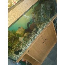 Mooie aquarium bak is 100 bij 40 in totaal met kast 115