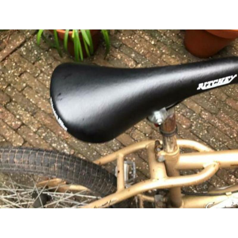 BMX 20 inch.