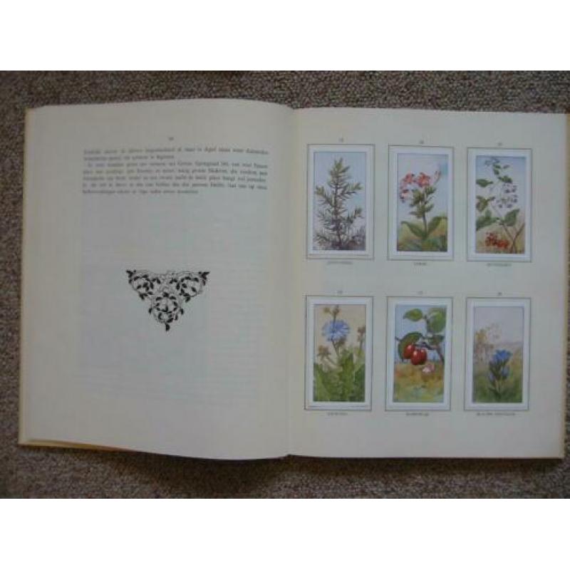 2 platenalbums Lente en Herfst - Jac P Thijsse (Verkade)