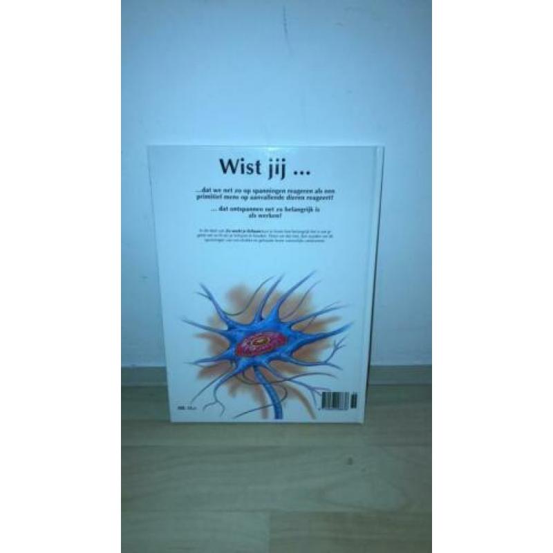 Zo werkt je lichaam