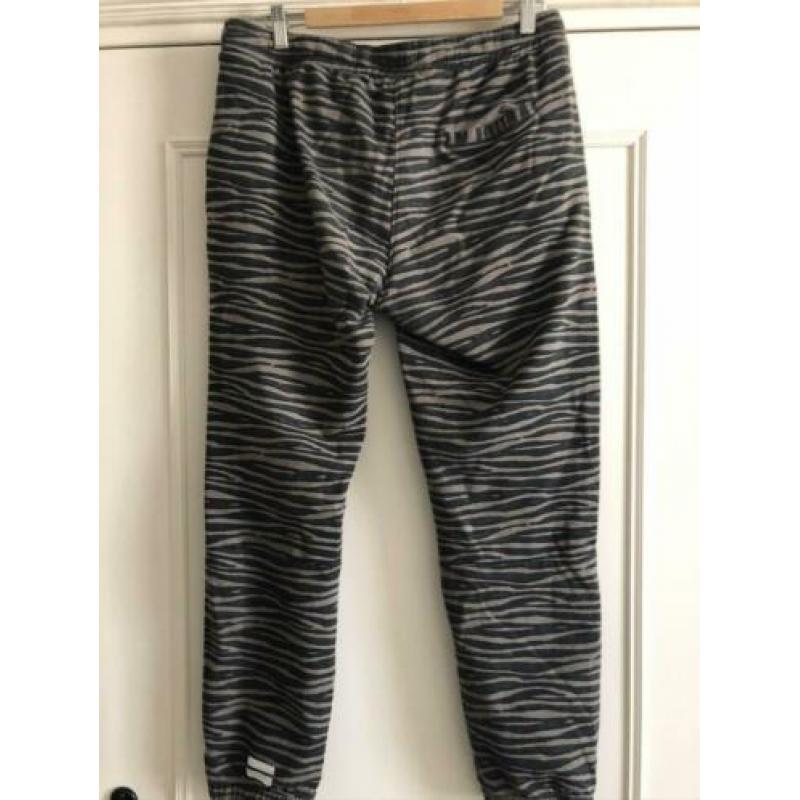 10 Days jogger mt3