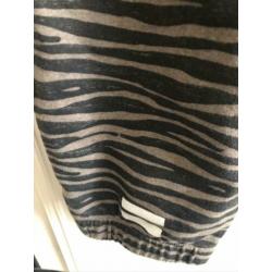 10 Days jogger mt3
