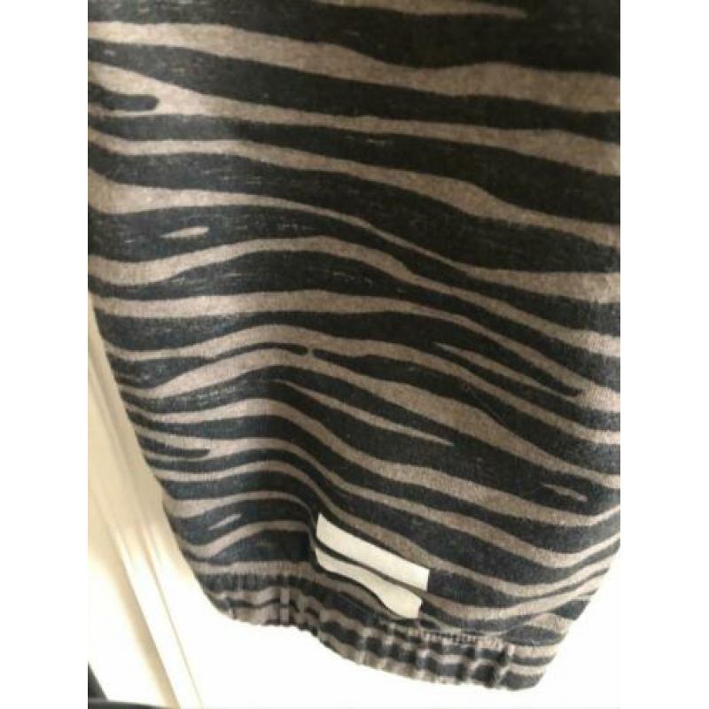 10 Days jogger mt3