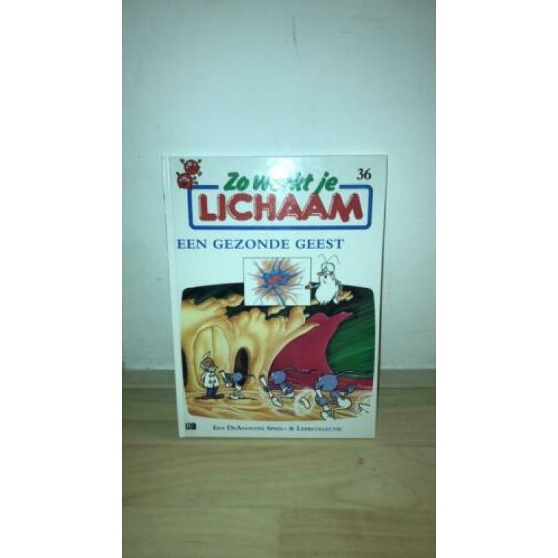 Zo werkt je lichaam