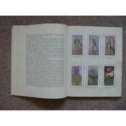 2 platenalbums Lente en Herfst - Jac P Thijsse (Verkade)