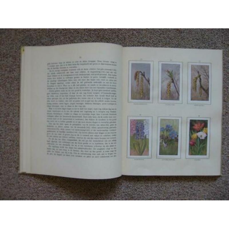 2 platenalbums Lente en Herfst - Jac P Thijsse (Verkade)
