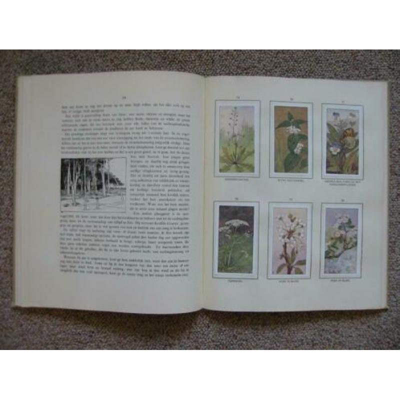 2 platenalbums Lente en Herfst - Jac P Thijsse (Verkade)