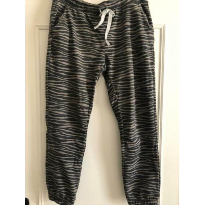 10 Days jogger mt3