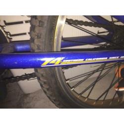 Bmx gt power series