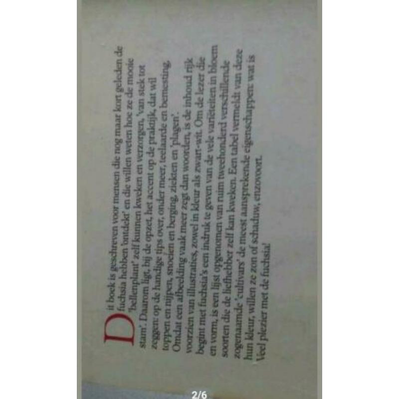 Fuchsia's van stek tot stam