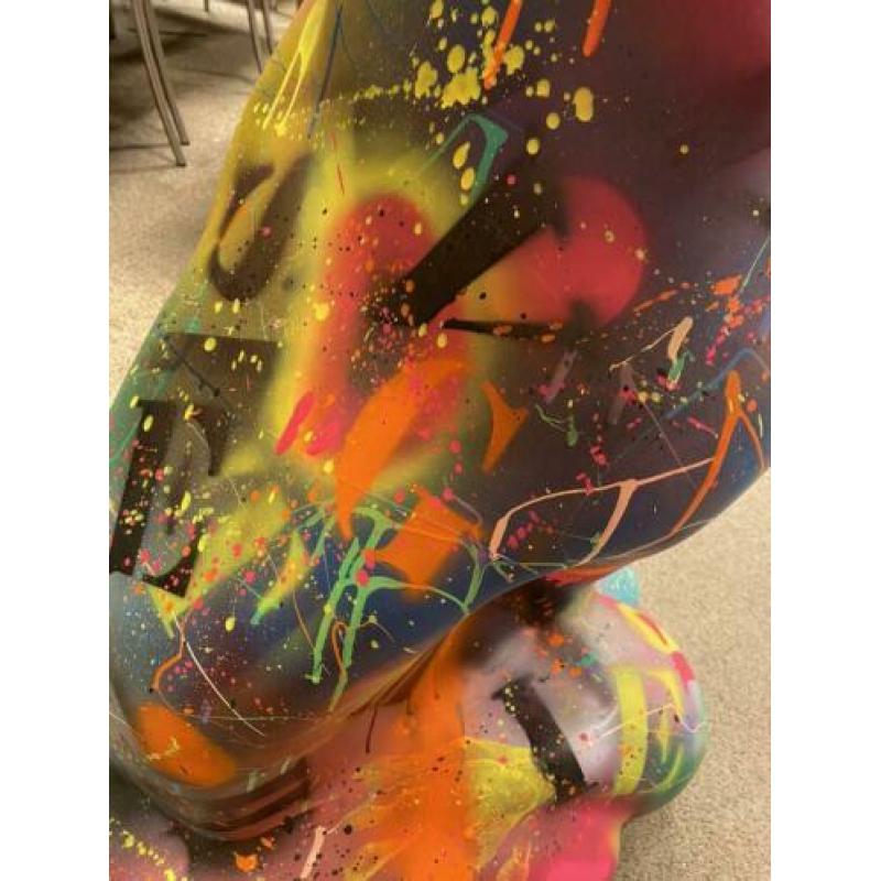 Nieuw Jacky Zegers Kunstwerk Beeld Kunst Neon Kleur Kat