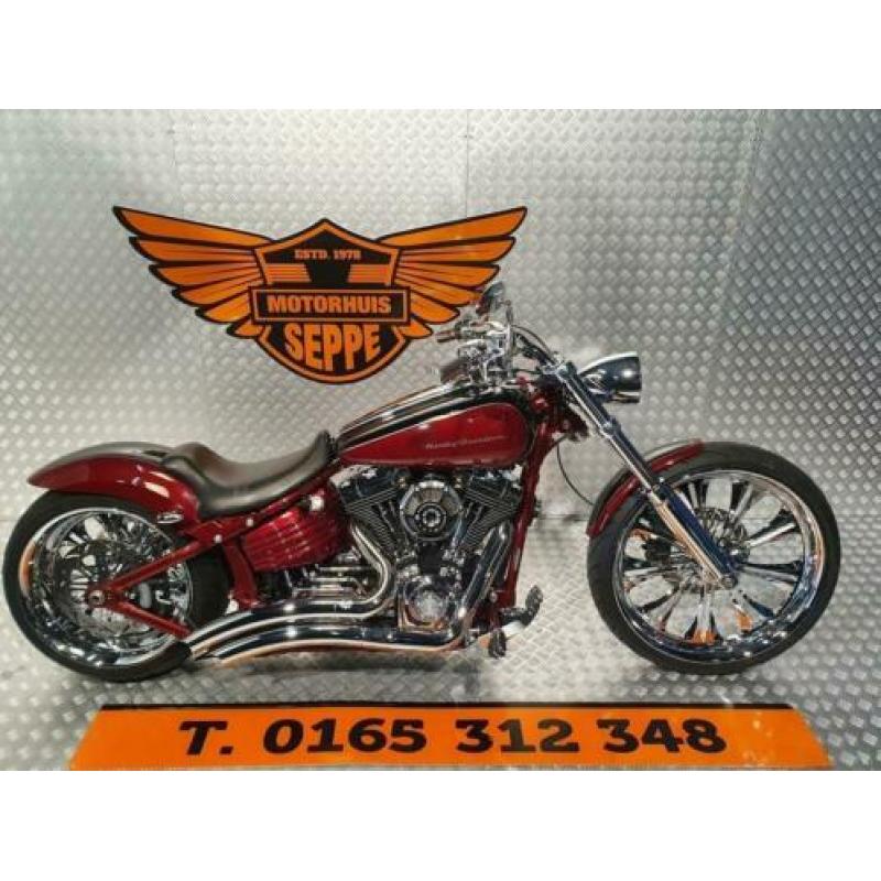 HARLEY-DAVIDSON SOFTAIL SPECIAL FXCWC (bj 2008) verkocht