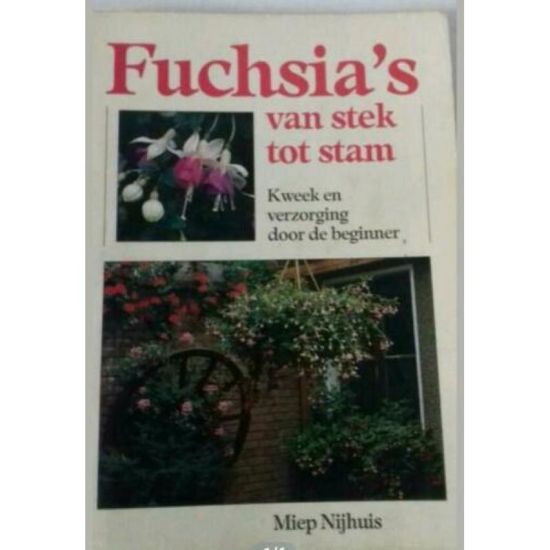 Fuchsia's van stek tot stam