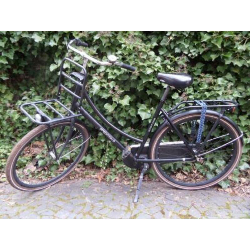 Dutch Flavor Spedition 3 transport damesfiets frame 54 cm