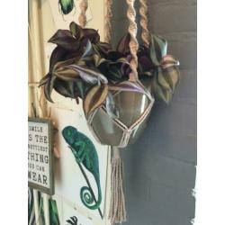 Plantenhanger macramé 90 cm