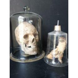2 x antieke laboratorium stolp met of zonder inhoud
