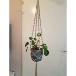 Plantenhanger macramé 90 cm