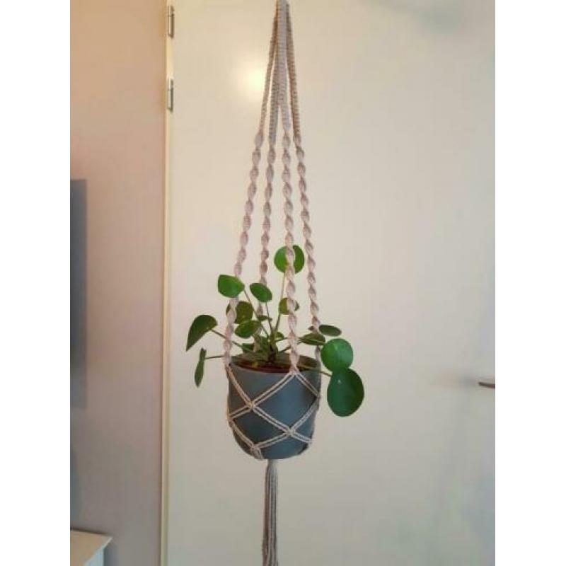 Plantenhanger macramé 90 cm