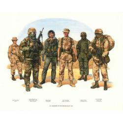 Halsdoek, neckerchief desert storm
