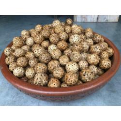 Rotan Balletjes - Decoratie - Knutselen - Mini Takraw