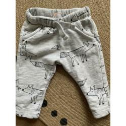 Hema vosjes broek maat 62