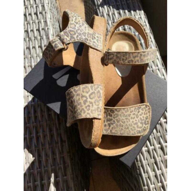 Clic sandalen panterprint, meisje, mt 30