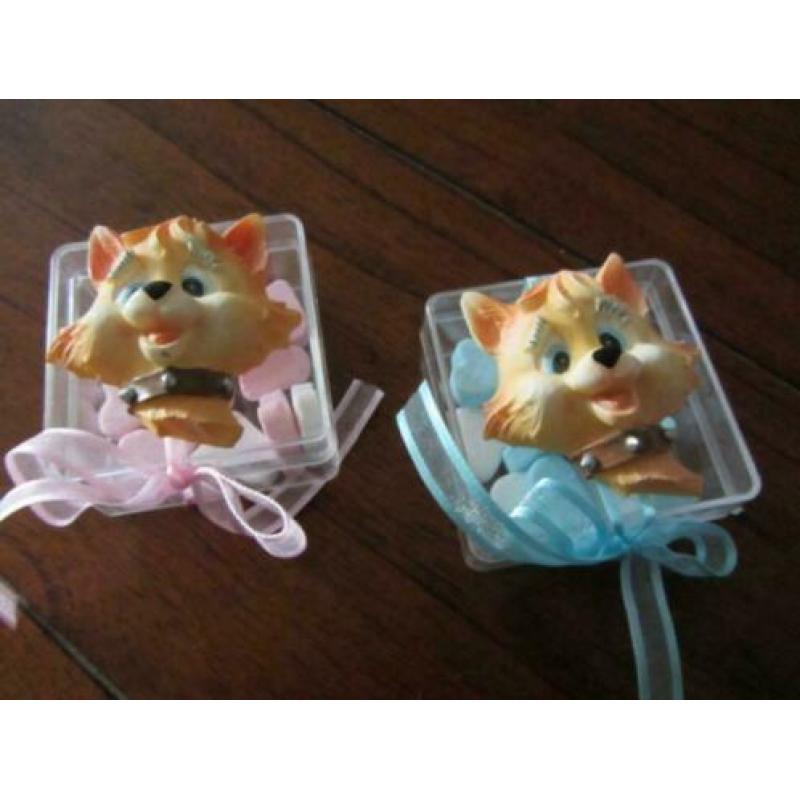 bedankje bedankjes-plexi doosje met super leuke poes