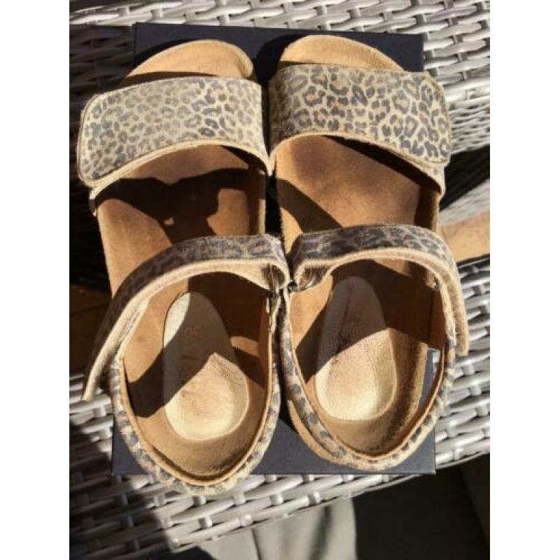 Clic sandalen panterprint, meisje, mt 30