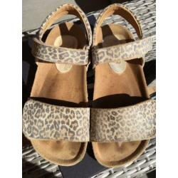Clic sandalen panterprint, meisje, mt 30