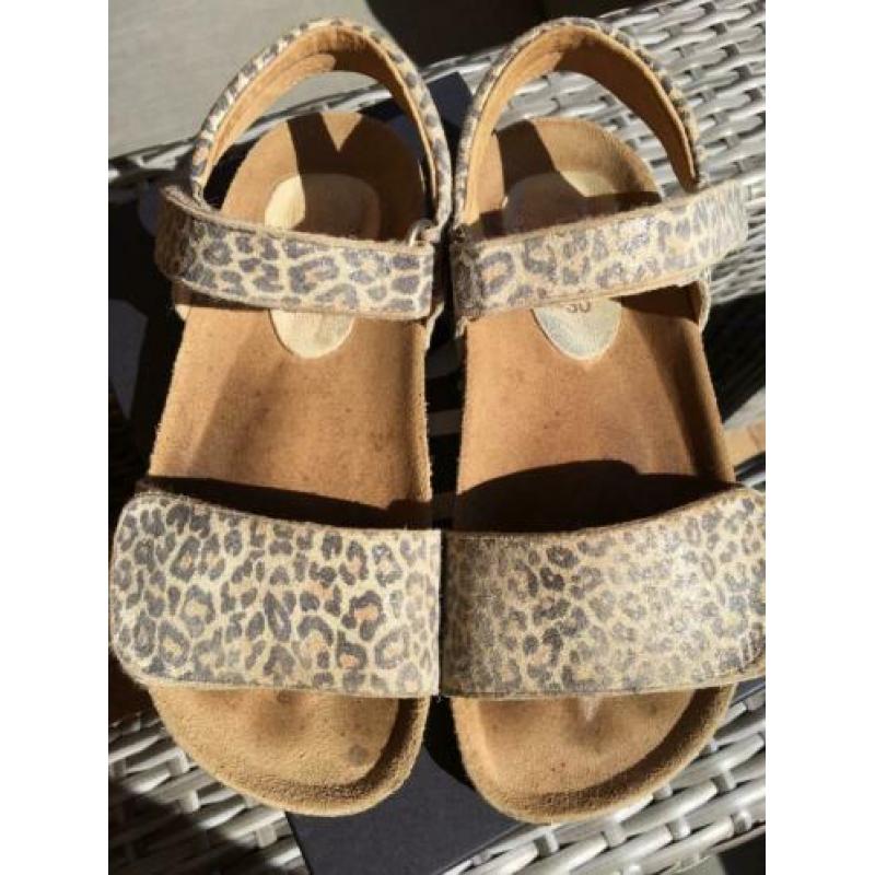 Clic sandalen panterprint, meisje, mt 30