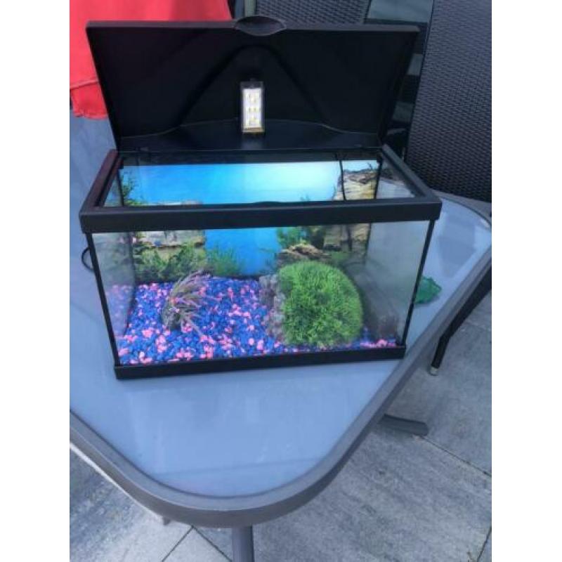 Aquarium 15 liter (incl sier elementen )