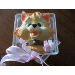 bedankje bedankjes-plexi doosje met super leuke poes